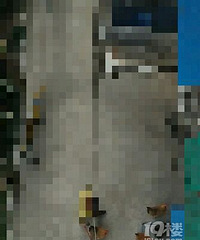 �Ѹ��ڼҼ�ײ���� �Է�ֱ����˵������Ǽ�����