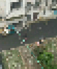 �Ѹ��ڼҼ�ײ���� �Է�ֱ����˵������Ǽ�����