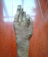 ��������Ƶ�ɽҩ �������û�