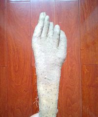 ��������Ƶ�ɽҩ �������û�