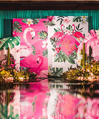 �ҵķ�ɫ������������첼�� ������� �������겻��İ���