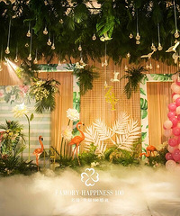 �ҵķ�ɫ������������첼�� ������� �������겻��İ���