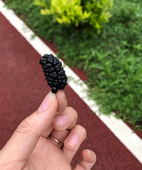 ����inƷ������Ȼ���ٺ�