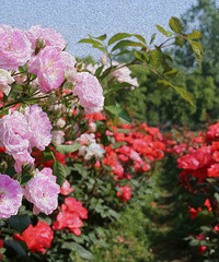 �²�����������˱���Ŷ