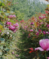 �²�����������˱���Ŷ