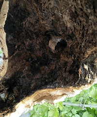 ���������������� ��������·���п��������ζ���