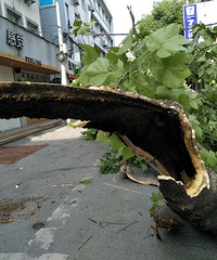 ���������������� ��������·���п��������ζ���