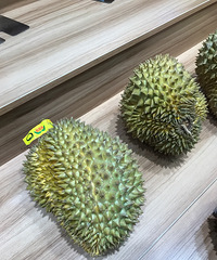 荔枝上市了来尝个鲜 !这几天价格还便宜了点 味道不错!