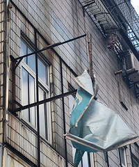 ���Ϲη���������� ͷ����һ�������ҡҡ��׹