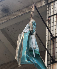 ���Ϲη���������� ͷ����һ�������ҡҡ��׹