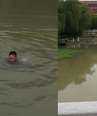 ���ŵ�ɲ��������һ����ɫС�γ�ײ�ϻ���...