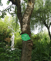 ����������������� ��ɣ���ֵ����ξ���