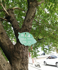 ����������������� ��ɣ���ֵ����ξ���