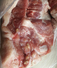 �������룡�ڼ���ĳС�˳����˿��� �ؼ�һ��������