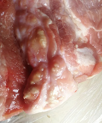 �������룡�ڼ���ĳС�˳����˿��� �ؼ�һ��������