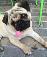 ���Σ�����ͬ�¶������� ���澹Ȼ�з������...