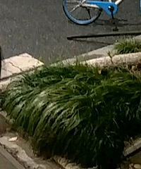 ����һ�������� ������������