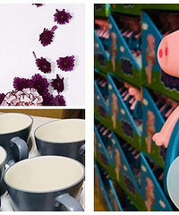 5.20������������ſ ����ֱ��ing