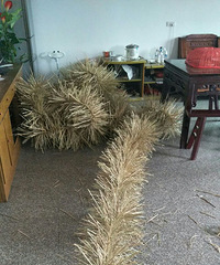 你们管这个叫什么 估计好多嘉兴人都不认识