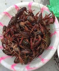 晚饭吃的有点晚 …