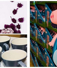 ����һ��С�����棡������ˮ������������ͣ�