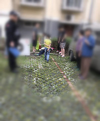 �ң�ĳС���յ���װ��3¥���� �°�����֪��