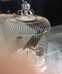 520 ����һ�ְ��������Լ����º�ƪ��