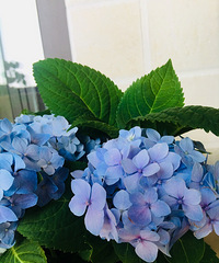 DIY��Ʒ������ ζ�����ã�