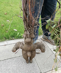 ���800����ˮ��·����������С����