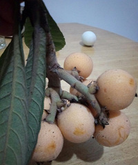 �������ǲ���������£����ѣ�������Ů�ˣ�