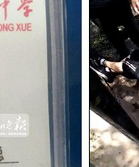 ����������ֵ�ʫ �������������ں���