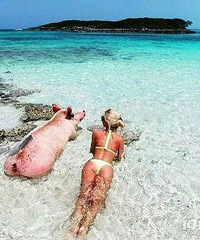 �����������кڵ�������� ���軹˵�ܵǶ�