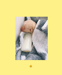 ��Һã��ҽ�����