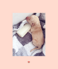 ��Һã��ҽ�����