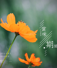 ��Ķ������Ļ����ֿ���