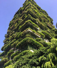 С�������������߶�����ӱ���ѵ�࣡��ֱ�ӷ�����