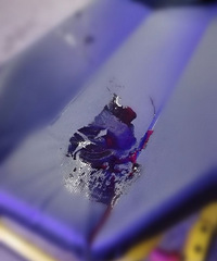 ��������� �������Ʒ����� үү����������ʮ���⣡