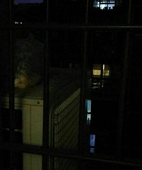 ����ַ����������ھӣ��ѳ�ʣ�ķ��˷����ҼҴ������桤����