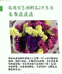 勿忘我鲜花付邮送 2~3色混搭,