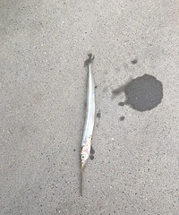 ץ������ֵ��� ����˵ֵ����ǧ