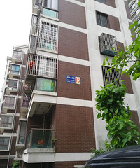 ����20���� �Ⱦƺ����ˡ�����һ��������ͷ�����������ⷿ¥��