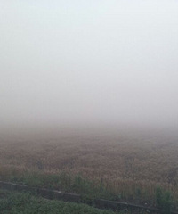 �������ϵ���̫���� �ܼ���50�׶�������