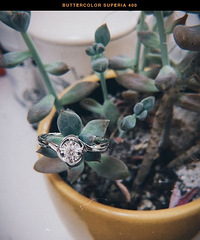 ĸ�׽ڸ���������һ�����Բ����һ����  ʵ�����Ƭ�ÿ��ܶ�