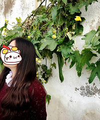 �����ʽ��ѵ���ר��NO.19������MM ��С����ý����� �з��г�