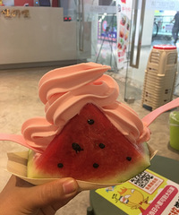 ���ϻ�����ô�ԣ���˵�����½���wanghong���ϱ����