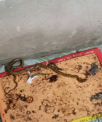 �ڼҷ���һ���� ��˭��ʶ��