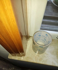 �������˸�����֮�ͣ����ڽ����﷢����һֻ������