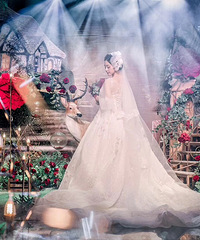 ɹ�����ǻ��� ���������չ�