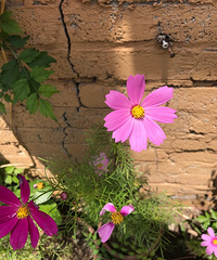 �����û�����ӣ����鲻�����κθı䣡