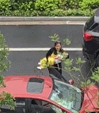 С��������ʻ׷βǰ�� ��ȫ���ҵ���